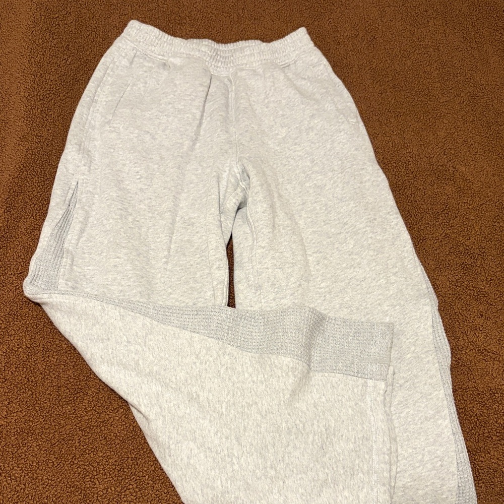 Gray Aerie Sweatpants